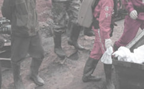 ú鷶