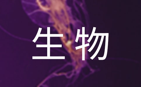 400ַ10ƪ