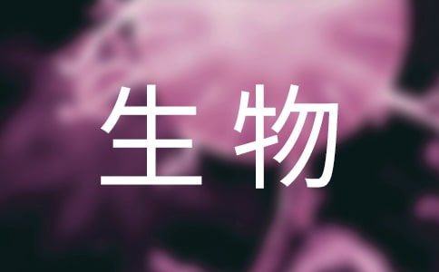 ɼ½