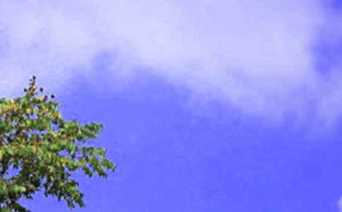 Աϰٵ